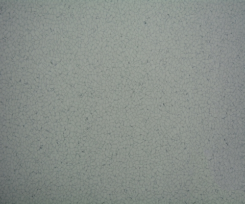 Fire Resistance Commercial PVC Flooring , 610*610mm Anti Static Epoxy Flooring