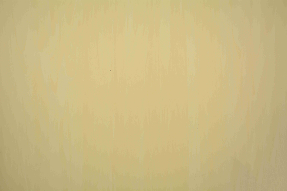 2mm Antibacterial Homogeneous Pvc Vinyl Flooring