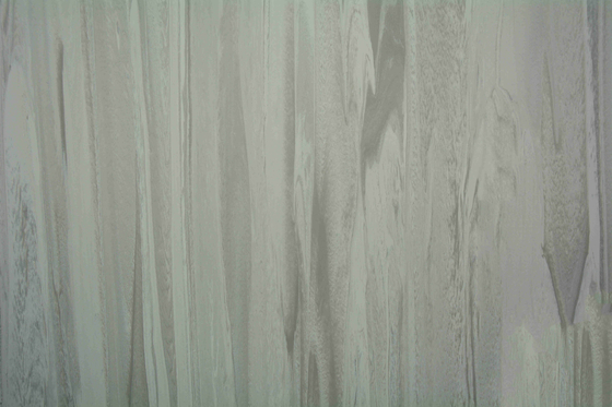 Anti - Skid 2mm Hospital PVC Flooring Commercial Grade Homogeneous Vinyl Roll