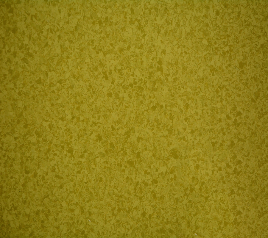 Virgin Homogeneous Pvc Flooring Indoor Pvc Homogeneous Vinyl 2*20M