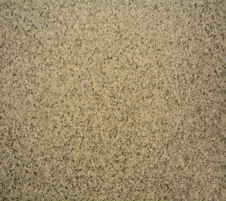 High Performance Homogeneous Vinyl Flooring Used For Hospital 2*20m
