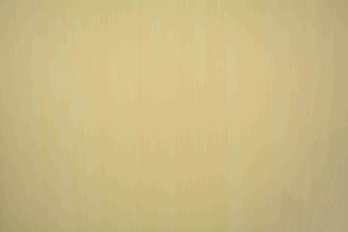 2mm Antibacterial Homogeneous Pvc Vinyl Flooring